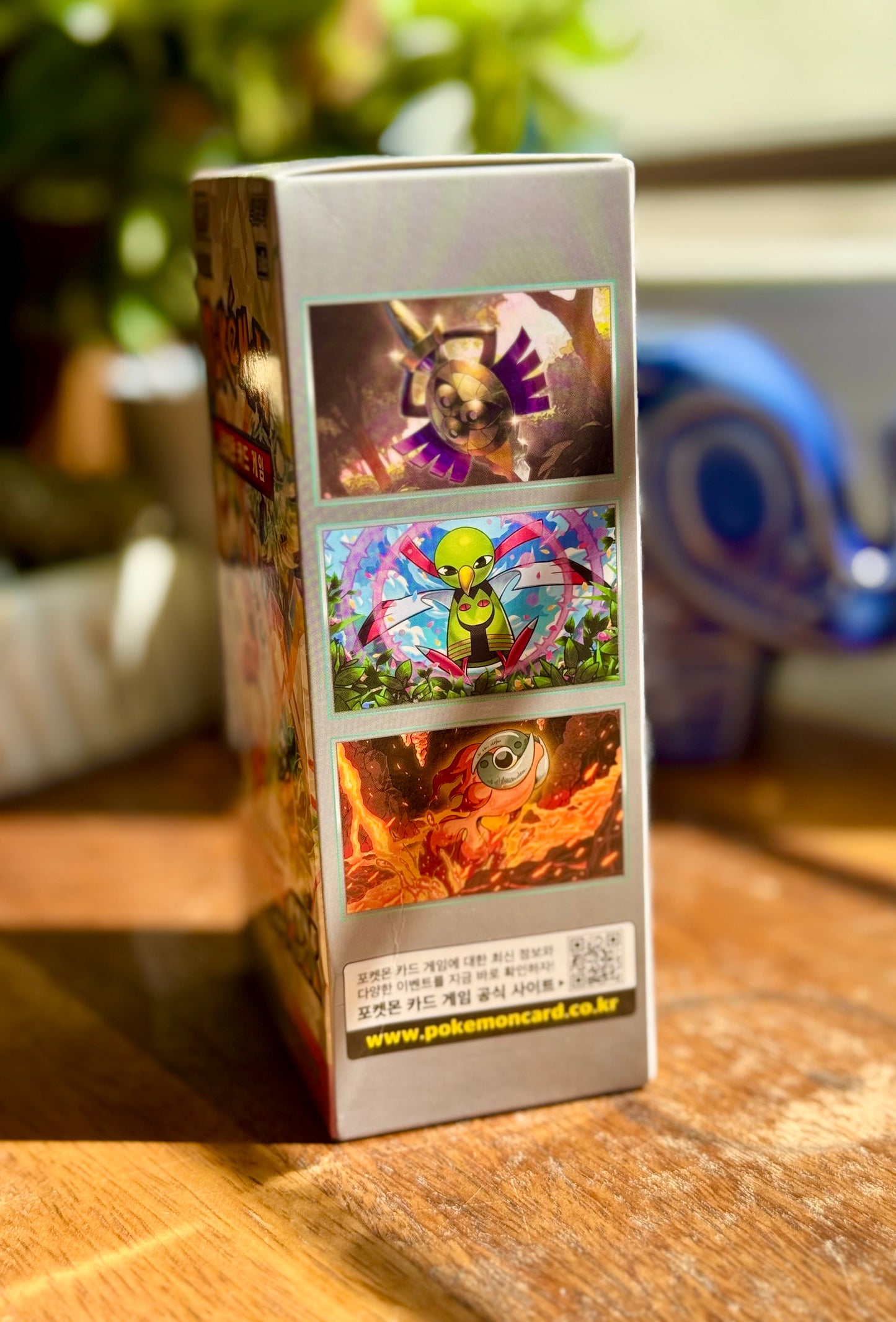 Terastal Festival KR - Booster Box